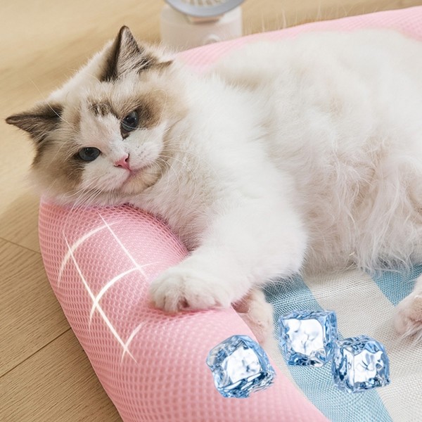 페오펫몰,[댕썸머특가] 개과천선 투니 고양이 쿨 방석 강아지 쿨 매트