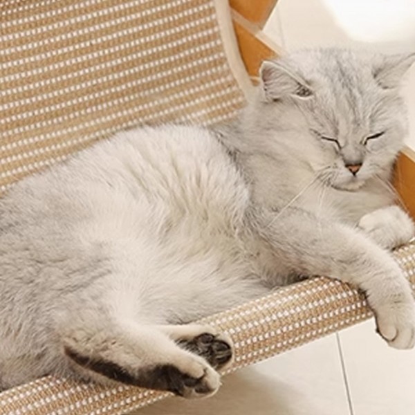 페오펫몰,개과천선 어몽드 베드볼 고양이 스크래쳐