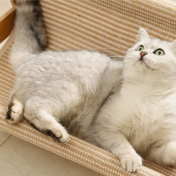 페오펫몰,개과천선 어몽드 베드볼 고양이 스크래쳐