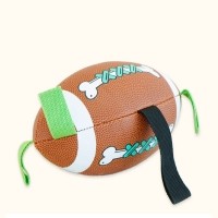 개과천선 럭비 강아지 놀이공