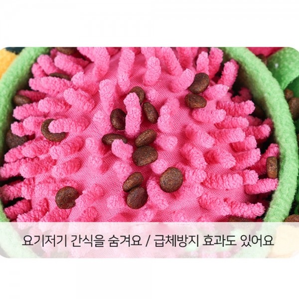 페오펫몰,개과천선 센트 원형 노즈워크 강아지 장난감 (색상랜덤)