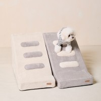 개과천선 페리드 강아지 펫스텝