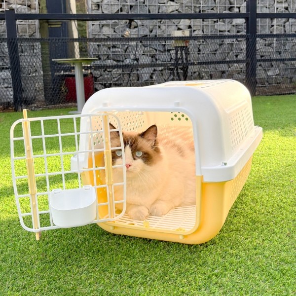 페오펫몰,개과천선 클라바 강아지 켄넬 이동장