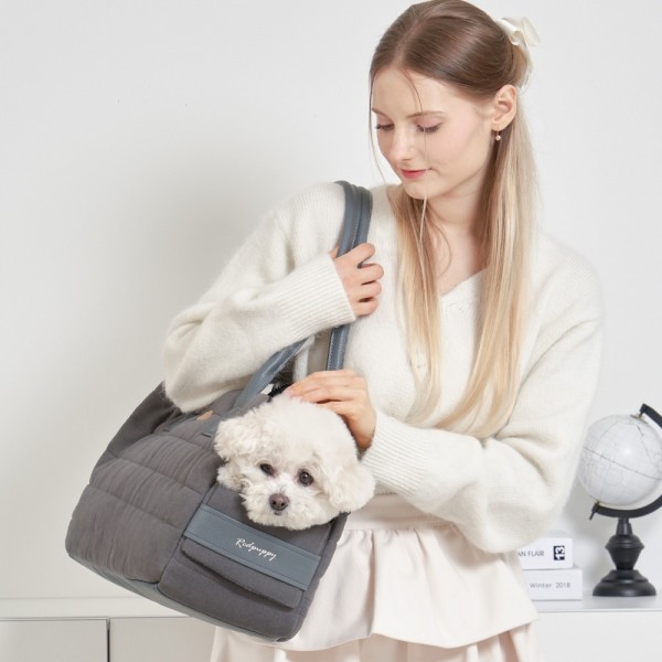 페오펫몰,개과천선 클라인 강아지 이동가방