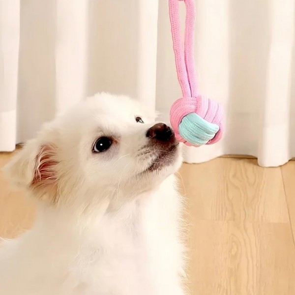 페오펫몰,개과천선 트위스티 터그 장난감