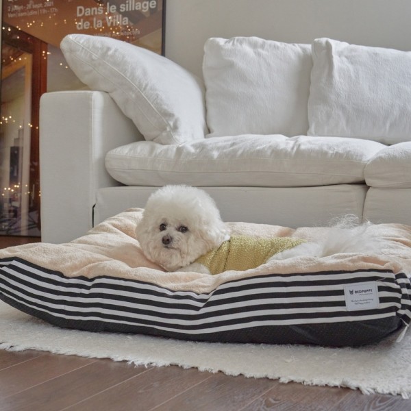 페오펫몰,개과천선 벨루네 강아지 대형 쿠션 고양이 방석