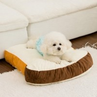 개과천선 브레브 강아지 대형 쿠션 고양이 방석