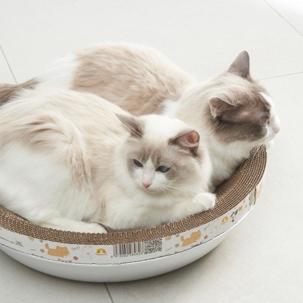 페오펫몰,개과천선 댕냥쿨베드 매트