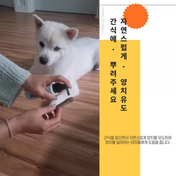 페오펫몰,미뇽 덴티 캣 고양이 치석제거 뿌리는치약 캣 덴탈워터 구강청결제 100ml