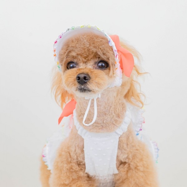 페오펫몰,[CCPM]썸머 레인보우 썬캡