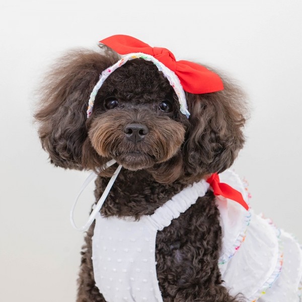 페오펫몰,[CCPM]썸머 레인보우 썬캡