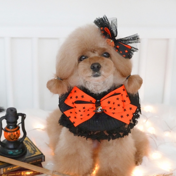 페오펫몰,[CCPM]할로윈 파티 케이프