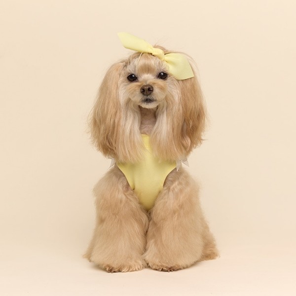 페오펫몰,[CCPM]Peekaboo Crop Top (피카부 크롭탑) Yellow