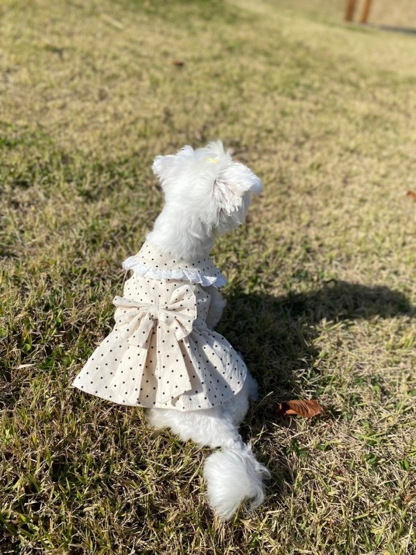 페오펫몰,(막댕이 옷장)초코찰떡원피스