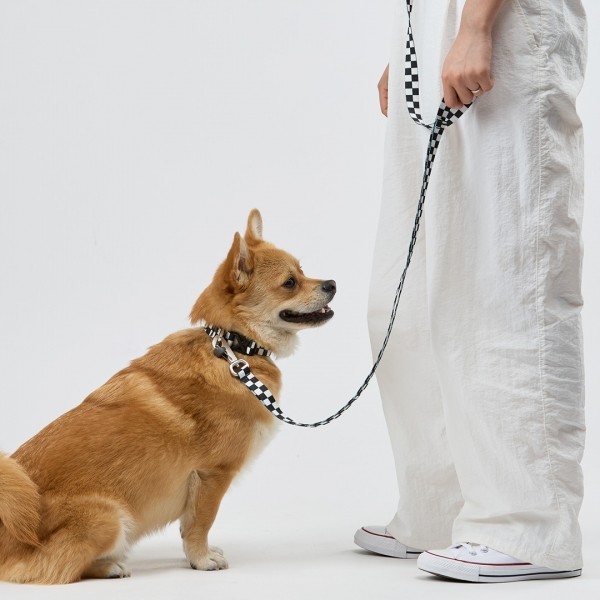 페오펫몰,일로 텐텐 TENTEN 리쉬 - 블랙