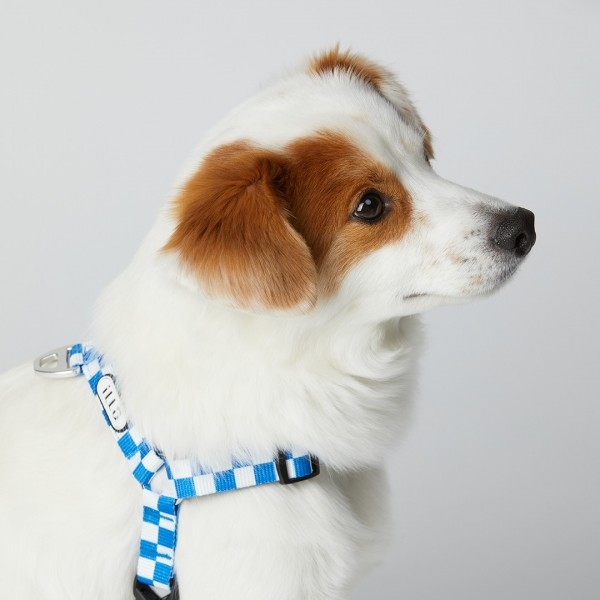 페오펫몰,일로 텐텐 TENTEN 하네스 - 블루 (L형)