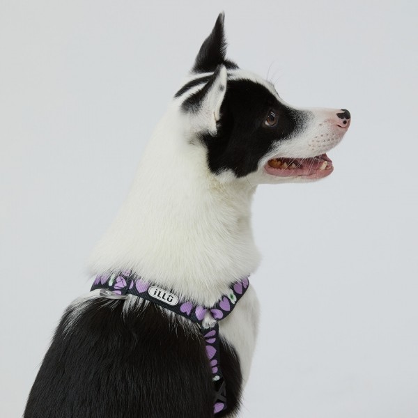 페오펫몰,일로 럽미 LUV ME 하네스 (L형)