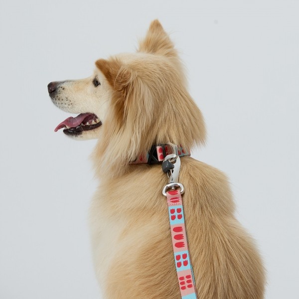 페오펫몰,일로 피버 FEVER 더블락 목줄