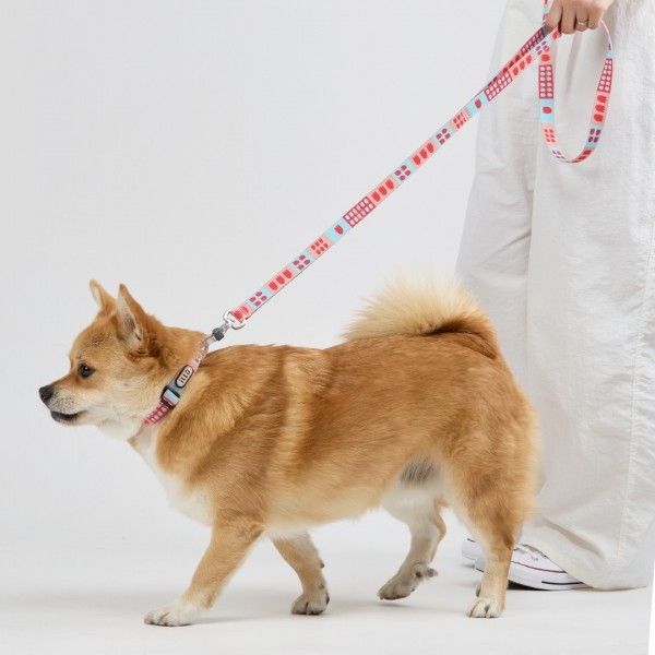 페오펫몰,일로 피버 FEVER 리쉬