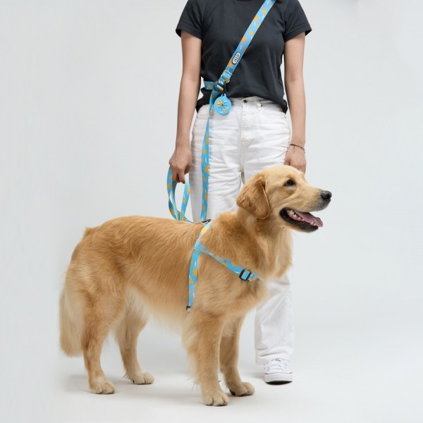 페오펫몰,일로 스텔라 STELLAR 맥스 리쉬 - 중,대형견용