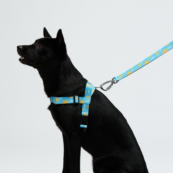 페오펫몰,일로 스텔라 STELLAR 맥스 리쉬 - 중,대형견용