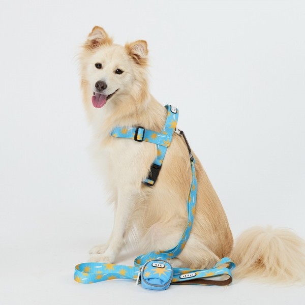 페오펫몰,일로 스텔라 STELLAR 맥스 리쉬 - 중,대형견용