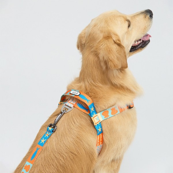 페오펫몰,일로 샌드페블스 SAND PEBBLES 맥스 리쉬 - 중,대형견용