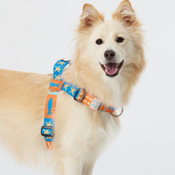 페오펫몰,일로 샌드페블스 SAND PEBBLES 맥스 하네스 (L형) - 중,대형견용