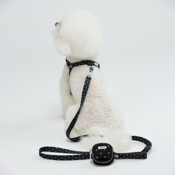 페오펫몰,일로 도로시 DOROTHY 리쉬