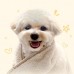 썸네일(스크롤)