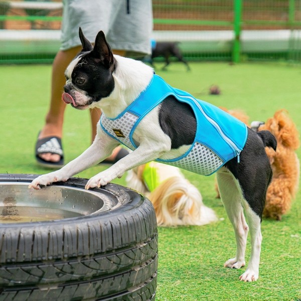 페오펫몰,니즈더펫 인터라켄 쿨워터 조끼