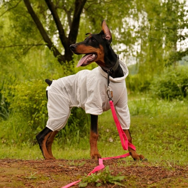 페오펫몰,인터라켄 스위시 강아지 올인원 바람막이 윈드브레이커