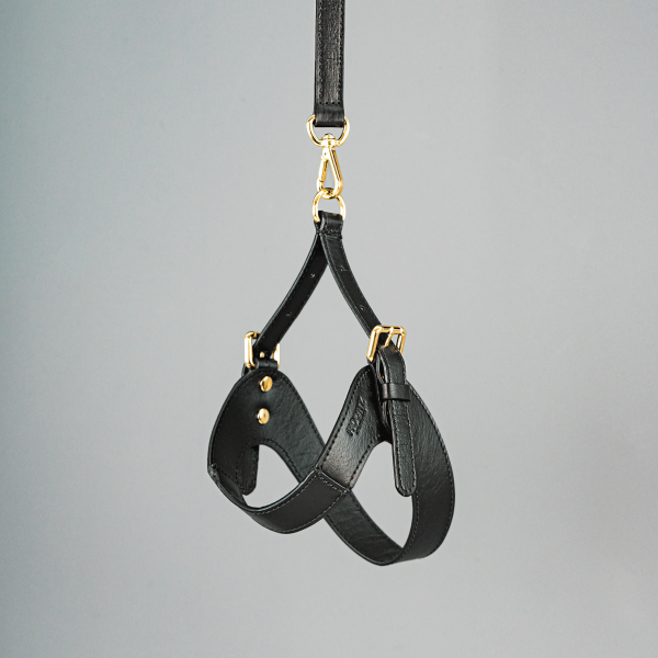 페오펫몰,[핫썸머특가][HOUNZ] 하운즈 핸드메이드 비건 한지가죽 하네스 + 리쉬 세트