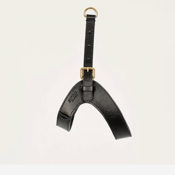 페오펫몰,[핫썸머특가][HOUNZ] 하운즈 핸드메이드 비건 한지가죽 하네스 + 리쉬 세트