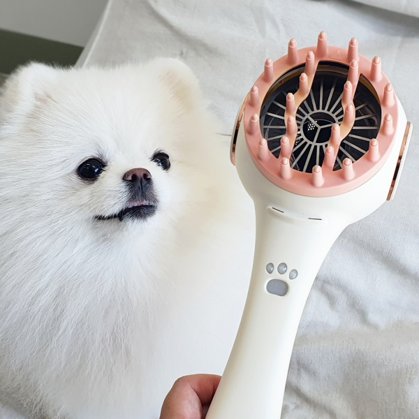 페오펫몰,[포그밍 반려동물 관리기] 진드기 냄새 세균 제거 원적외선 관절 귀 발바닥 염증완화 피부관리