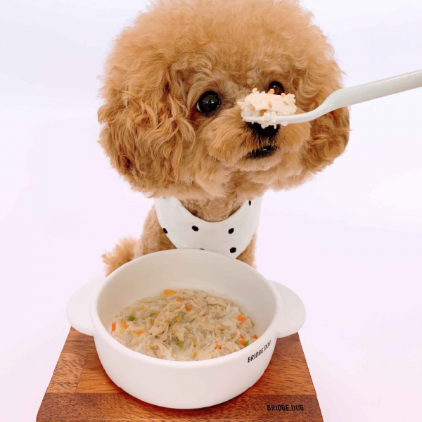 페오펫몰,반려견을 위한 맛있는 건강식 위닝푸드 삼계죽