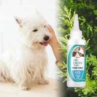 [메이웰] 편백수 닥터드롭스 귀세정제 120ml