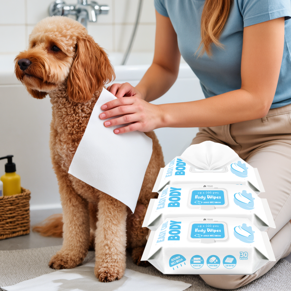 페오펫몰,[메이웰] 닥터티슈 바디 3팩