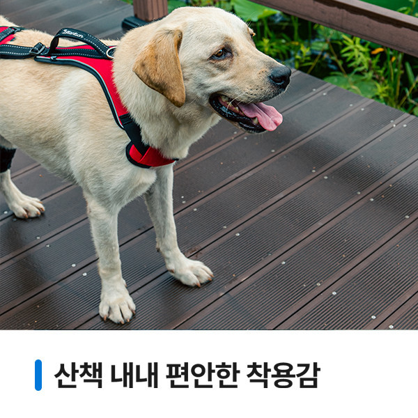 페오펫몰,[앞섬방지 + 산책교육]어텐션하네스+리드줄+레그커버