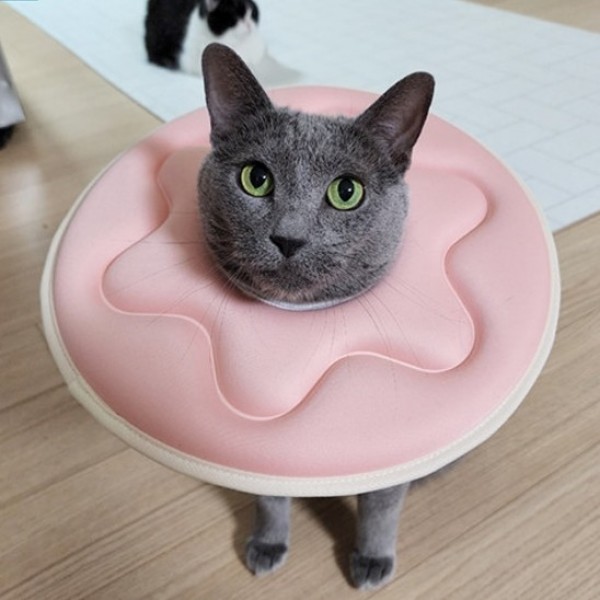 페오펫몰,더플래 강아지 고양이 반반 초경량 넥카라 [최저가]