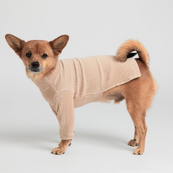 페오펫몰,페딕트 코듀로이 하이넥 티셔츠 베이지 (S~XL) [최저가]