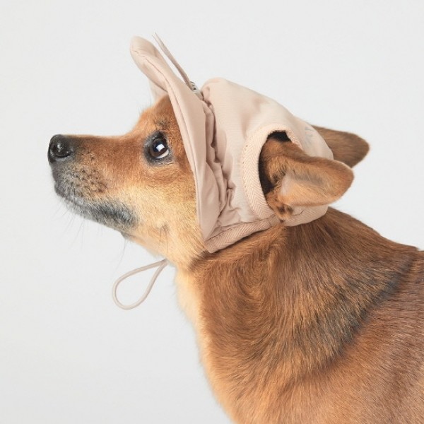 페오펫몰,페딕트 2온스 패딩 모자 베이지 (S~L) [최저가]