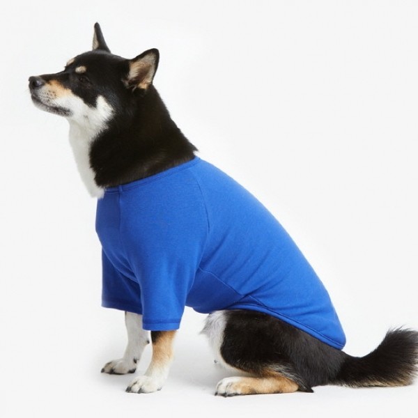 페오펫몰,페딕트 반팔 나그랑 기본티셔츠 코발트 (S~2XL) [최저가]