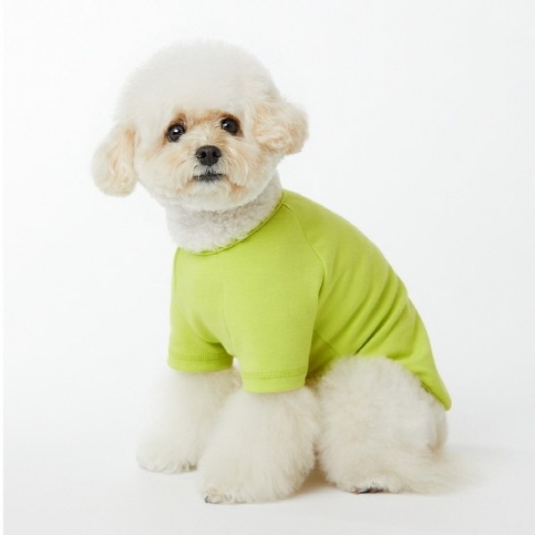 페오펫몰,페딕트 반팔 나그랑 기본티셔츠 레몬옐로 (S~2XL) [최저가]