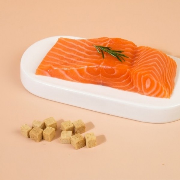 페오펫몰,펫시밀 동결건조 간식 소프트 연어트릿 대용량 120g [최저가]