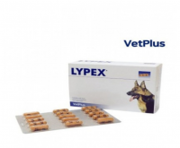 [동물병원전용제품][뱃플러스] 라이펙스 60캡슐 [반려동물]