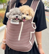 오보기 강아지 포대기 4color [최저가]