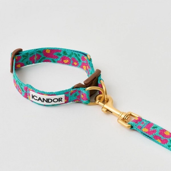 페오펫몰,[아이캔더] 젠틀 카라 듀얼_빅피쉬 민트