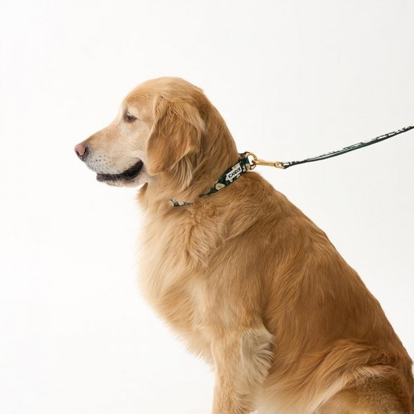 페오펫몰,[아이캔더] 젠틀 리쉬 볼트_빅피쉬