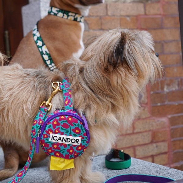 페오펫몰,[아이캔더] 노-풀 하네스_빅피쉬 민트